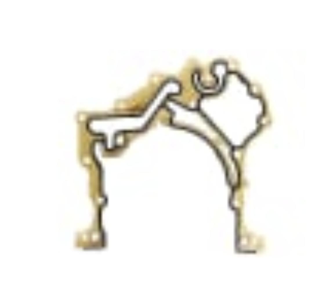 Oil Pump Gasket