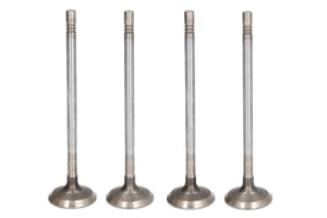 Exhaust Valve